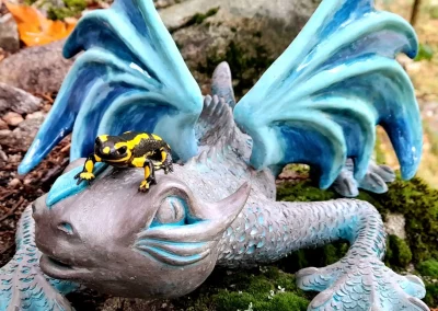 LES REPTILES